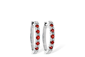A245-31621: EARR .24 RUBY .30 TGW