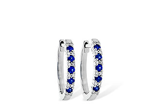 L245-31611: EARR .24 SAPP .30 TGW